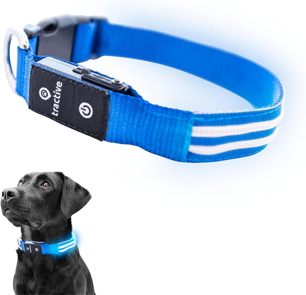 Tractive LED Light Up Dog Collar, USB Rechargeable Waterproof, Blue, Medium.