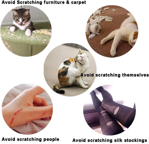 100pcs Cat Nail Caps/Tips, Pet Cat Kitten Paws Covers with 5 Adhesive Glue and 5 Applicators