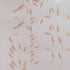 Brine Shrimp (Artemia), Live Adult, Ideal for Food