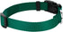 Country Brook Petz Dog Collar, American-Made, Medium, 3/4 Inch Wide, Deluxe Heavy Duty Nylon, Green