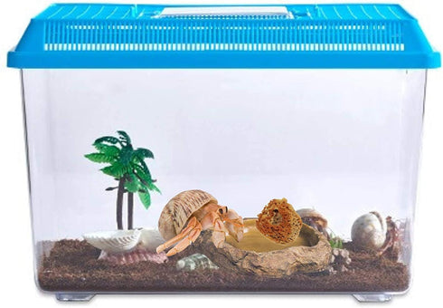 Pack 25 Needzo Hermit Crab Natural Sponge for Water Dish, Drinking and Tank Humidity, Size May Vary
