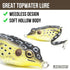 LUNKERHUNT Frog Lure for Bass Fishing | Pocket Frog Fishing Lure 1.75 Inch | Soft Hollow Body