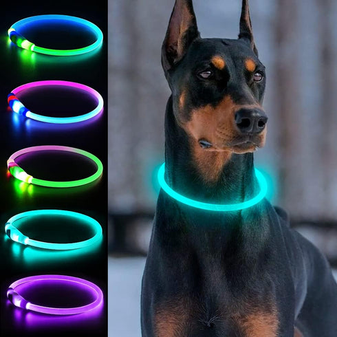 Light Up Dog Collars, USB Rechargeable Dlitk LED Dog Collar, Glow Collar for Large Medium Small Dogs (Cyan)