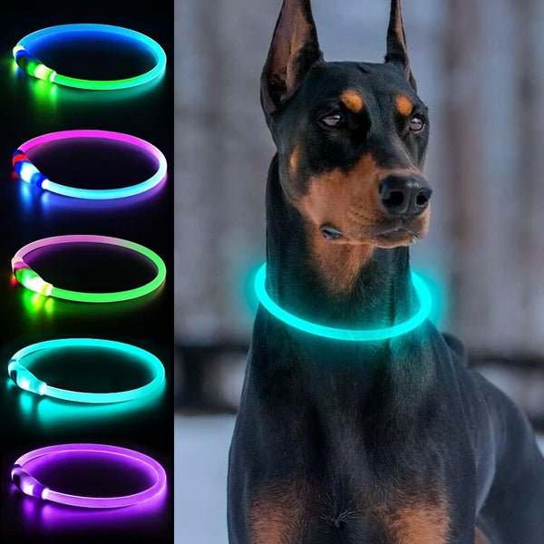 Light Up Dog Collars, USB Rechargeable Dlitk LED Dog Collar, Glow Collar for Large Medium Small Dogs (Cyan)