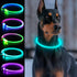Light Up Dog Collars, USB Rechargeable Dlitk LED Dog Collar, Glow Collar for Large Medium Small Dogs (Cyan)
