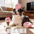 HEAT PAWS Pink Donut & Ice Cream Dog Plush Toys | Plush-Filled Squeaky Chew Toys (with Sprinkle Decoration) |