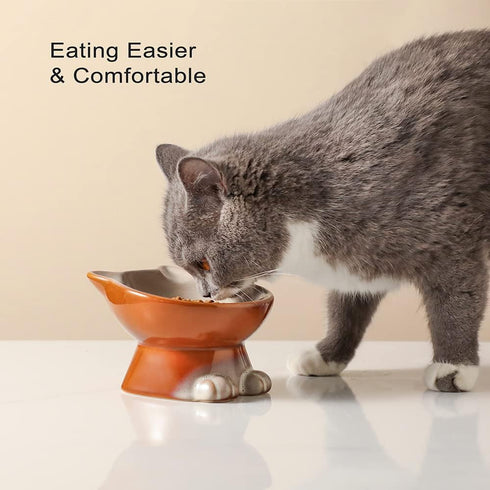 Nihow Elevated Cat/Dog Bowls: 5 Inch Ceramic Raised Food & Water Bowl Set, Elegant Brown for Protecting Pet's Spine