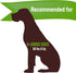 Buck Bone Organics Elk Antlers for Dogs - Long Lasting Dog Chews for Aggressive Chewers - All Natural (Jumbo)