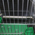 YITON 28Cm 1Pcs Bird Perches Birdcage Stands Bird Perch Parrot Stainless Steel Bird Standing Rod Bird Supplies Teether