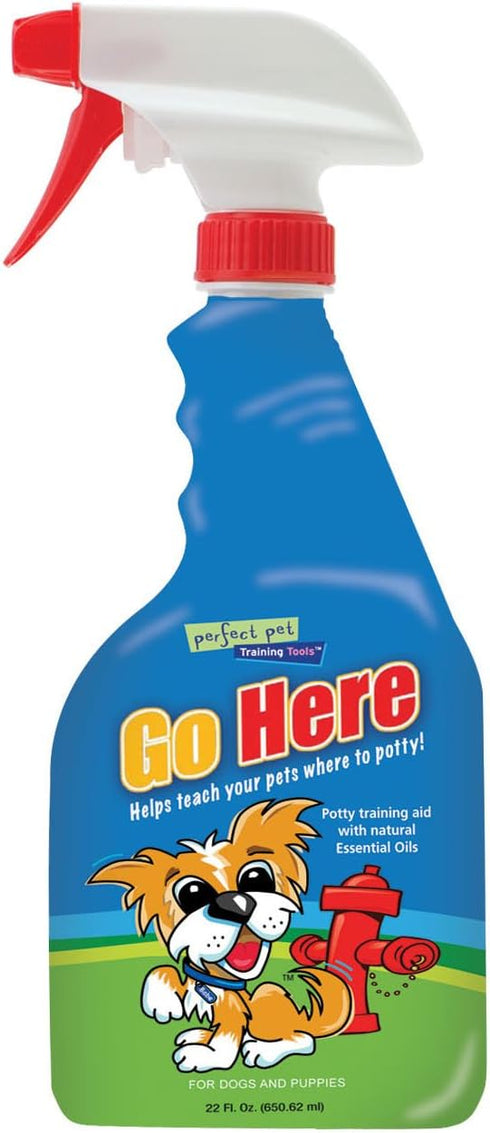 Davis Go Here Potty Training Aid - 22 oz