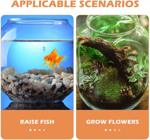 POPETPOP Clear Glass Fish Bowl, Small Goldfish Bowl Vase for Office Decor, Unbreakable Wide Bubble Terrarium