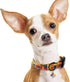 Faygarsle Colorful Dog Collar for Small Medium Large Dogs, Toy Building Blocks Patterned Collar for Puppy Girl