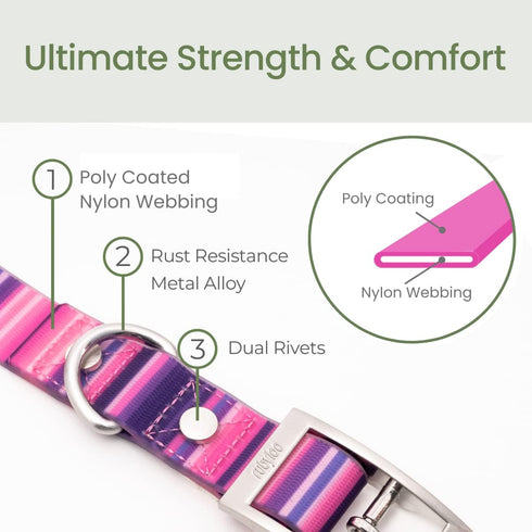 Waterproof Dog Collar, 100% Washable, Odor Proof, Easy to Clean, Quick-Dry, Soft Flexible Durable with Zinc Alloy