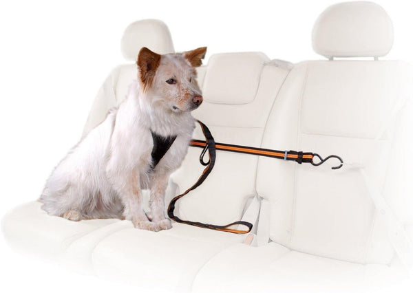 Kurgo Auto Zip Line - Backseat Zipline Harness for Car Travel -