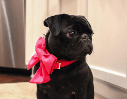 Maca Bates Dog Collar with Rose Red Bow Bowtie - Solid Colors Adjustable Breakaway Girly Pink Collars for Dogs