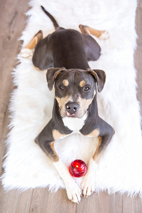 Pet Qwerks Blinky Babble Ball - Flashing Interactive Chew Dog Toy, Medium