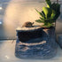 Tfwadmx Turtles Basking Platform, Reptile Habitat Hiding Cave for Frogs, Newts, Snakes, Chameleons