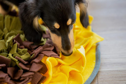 19 19, Snuffle Mat for Dogs Sunflower, Large Dog Snuffle Mat x Plush Enrichment Toy Slow Feeder, Mental Health Puppy