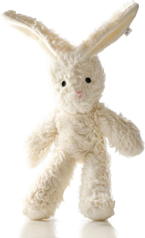 Pet Passion Plush Durable Cotton Dog Toys with Coconut Fill for All