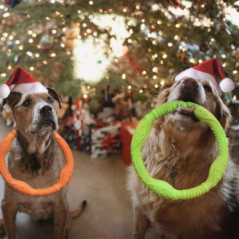 LaRoo Dog Flying Ring Toys, Durable Floating Disc for Training Outdoor Play for Medium Large Dogs (Small Green/18cm)