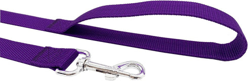 Strong Nylon Dog Leash, 10 Feet Long, 1 Inch Wide, for Medium Large Dogs Walking, Training, or Exploring