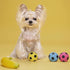 Soft Latex Rubber Squeaky Dog Ball - Cute Bounce Dog Toys for Small Dogs Puppies