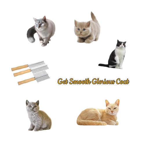 Professional Metal Dog Grooming Comb - 3 PCS Wooden Handled Pet Comb for Dogs and Cats, Removes Tangles and Dematting