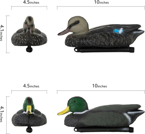 Realistic Mallard Duck Models as Decoys and Ornaments Loved by Hunting Enthusiasts