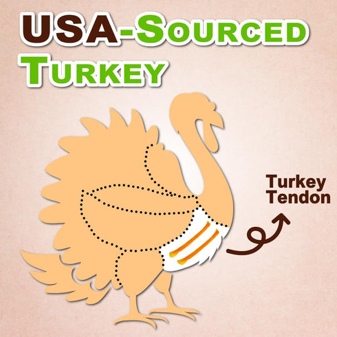Afreschi Turkey Tendon for Dogs, All Natural Human Grade Puppy Chew, 4 Units/Pack Ring (Small)