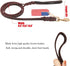 Premier 6ft Leather Dog Training Leash for Hunting Dogs or Obedience - Great Christmas Dog Gifts