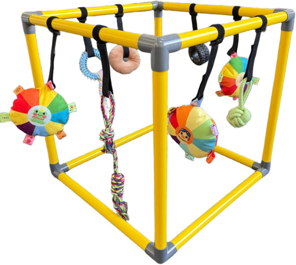 RAOPINGX Puppy Play Gym for Small Breed Dogs, Removable Hanging Toys with Bungee