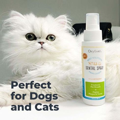 Oxyfresh Advanced Pet Dental Spray – 8oz Instant Dog and Cat Fresh Breath: Easiest No Brushing Solution for Dogs and