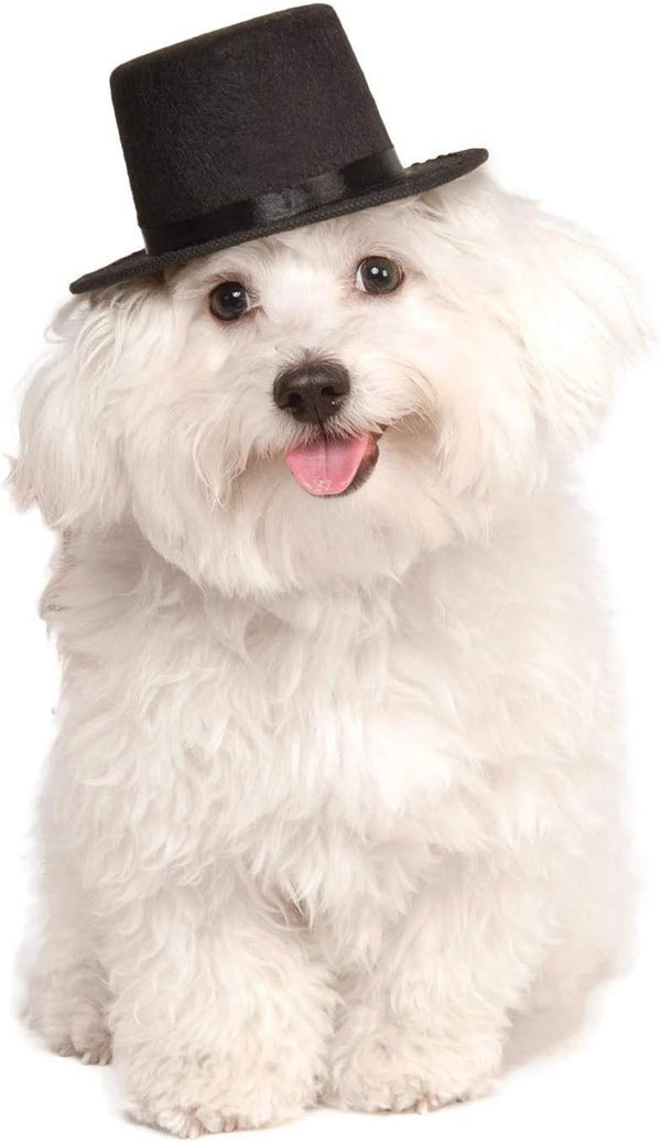 Top Hat Pet Hat for Dogs or Cats, S/M by Rubies