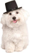 Top Hat Pet Hat for Dogs or Cats, S/M by Rubies