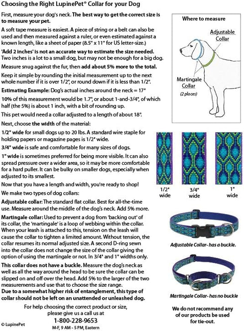 LupinePet Basics Adjustable Collar for Medium and Larger Dogs, 1" Blue, 12-20"