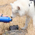 RC Pets On The Go Dog Travel Bowl, Heather Black
