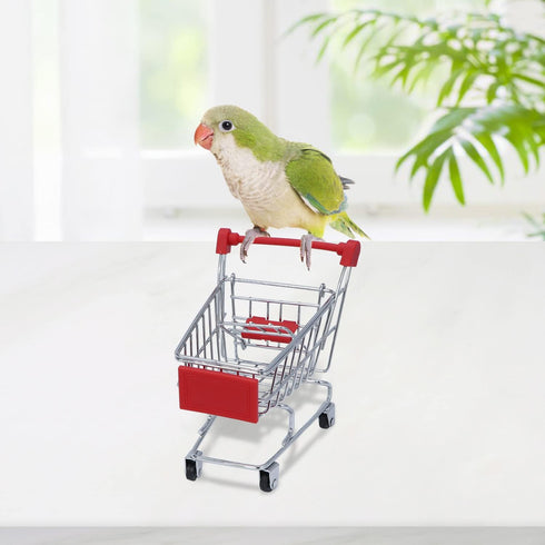 Wontee Bird Toys Mini Shopping Cart, Skateboard Ring Toy for Budgies and Parrots (3 Pack)