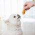 MON2SUN 2.5 Inch 21.2 oz (32 Count Pack 1) Dog Treats, Chicken Wrapped Rawhide Rolls, Teeth Cleaning Chews with High
