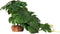 WOLEDOE Reptile Plants for Terrarium, Ball Python Tank Decor Accessories fit Bearded Dragon
