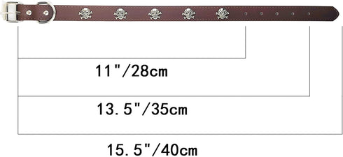 New Skull Dog Collar, Skeleton Design Pet Collar for Dogs and Cats, Brown Medium, Fits Neck Girth 11.5" to 13.5"