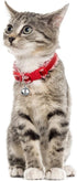 24pcs Cat Bells & Dog Collar Bells with Keyrings, Training Jingle Bell Collar Pendant Pet Accessories