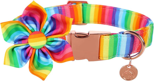 DOGWONG Cotton Pride Dog Collar, Rainbow LGBTQ Collar for Small Medium Large Dogs