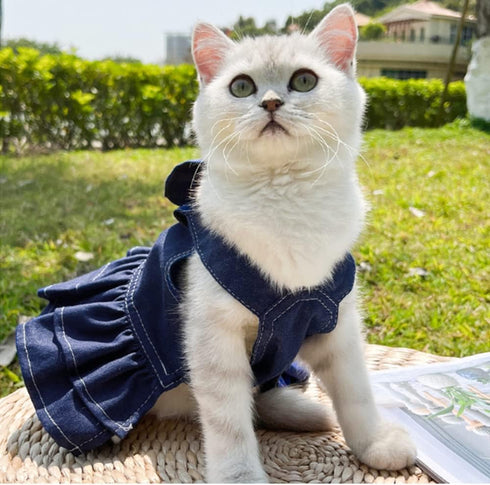 ANIAC Denim Dog Dresses for Small Dogs Puppy Girl Clothes with Leash Ring and Cute Bow Knot Summer Cat Apparel with D-Ring Blue Girl Dog Clothes (Dark blue, X-Small)
