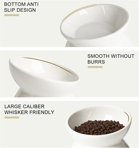 Elevated Tilted Cat Bowl - Ceramic Raised Food Dish for Cats and Small Dogs, 6 Inches, 10 Oz, Anti Vomit, White