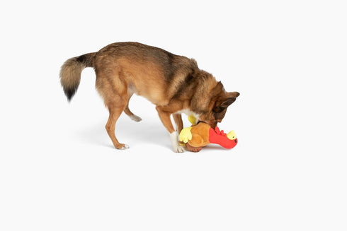 Midlee Large Thanksgiving Turkey Dog Toy - Stuffed Squeaky Pet Toy
