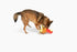 Midlee Large Thanksgiving Turkey Dog Toy - Stuffed Squeaky Pet Toy