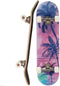 Wilver Complete Skateboards, 31 inches for Beginners, Teens, Girls, Boys, Kids, Adults, Maple Wood