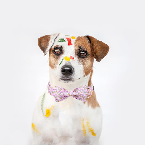 Maca Bates Easter Dog Collar with Breakaway Bow Tie, Cute Pink Adjustable Collar for Small Medium Large Dogs