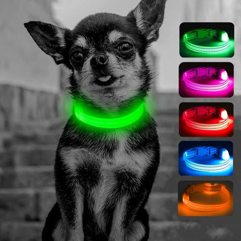 Candofly Light Up Dog Collar - LED Rechargeable Dog Collar, Glowing Puppy Collar for Night Walking, X-Small, Neon Green