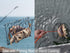 304 AirFly Castable Crab Trap, Foldable Crabjaw Net with Bait Clip, Crab Snare/Pots/Traps for Blue Crabs, Dungeness